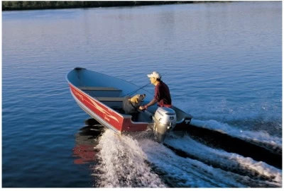 Honda BF 15 LHSU Außenborder 3 Honda BF 15 LHSU Außenborder – Bild 3