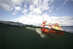 Secumar Rettungsweste Scout 275N 3D -Professionelle Bootsausrüstung PIC882735cb416616