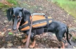 Lindemann Hundeschwimmhilfe 8-15 Kg