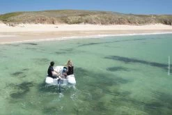 TEMO 450 Elektrischer Außenborder 23 TEMO 450 Elektrischer Außenborder -Professionelle Bootsausrüstung temo 450 elektrischer aussenborder 01